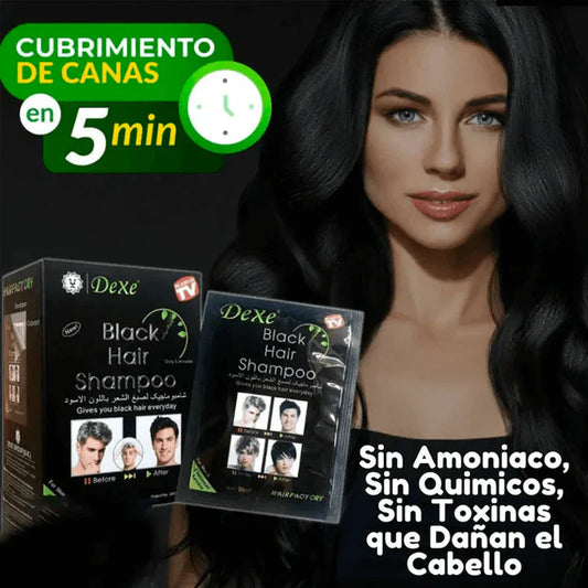 Shampoo Black® | Recupera el color🤩